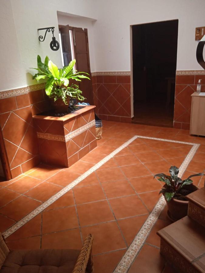 阿尔科斯-德拉弗龙特拉La Casa De La Cuevecita公寓 外观 照片